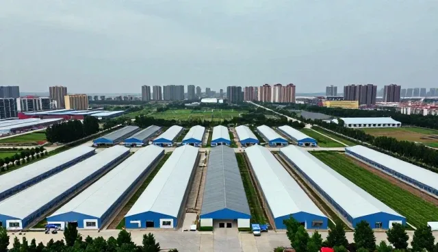 品牌VI系统设计帮助新媒体运营实现效率提升